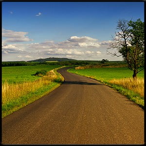 Winding Dirt Road in the country