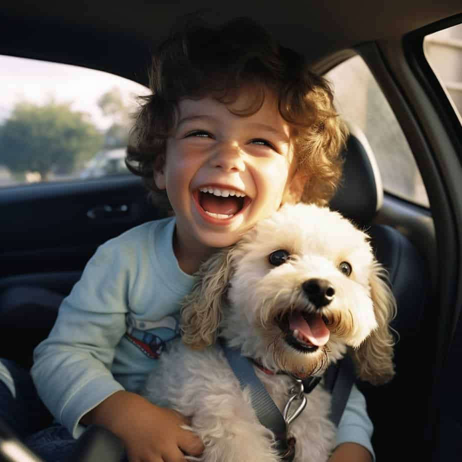 Happy child with his dog in a car